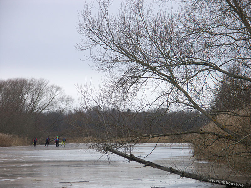 Ice skating on Arboga River/Arbogaån 2015.