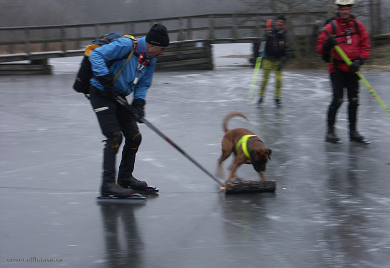 Ice skating in the Stockholm area, 2015.