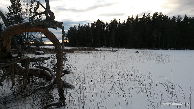 Ice skating on Lake Fjärden in Gästrikland