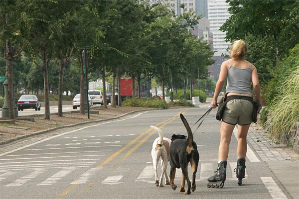 New York, inline skating