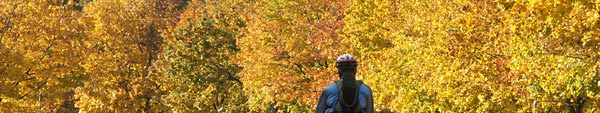 An autumn tour on inline skates