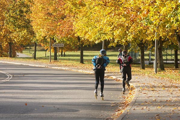 An autumn tour on inline skates