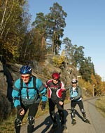 An autumn tour on inline skates.