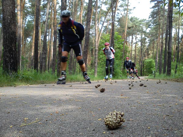 Flaeming Skate 2011.