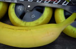 Banana colored inline skating wheels.