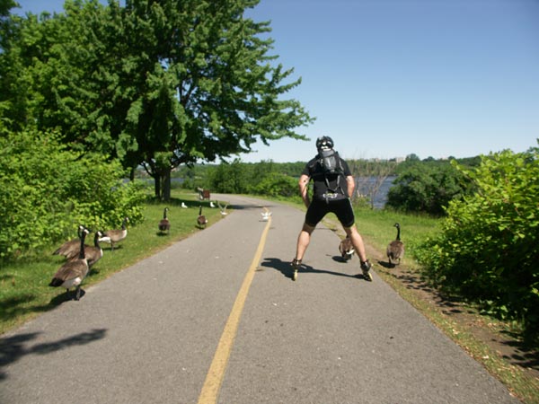 Ottawa River Pathway