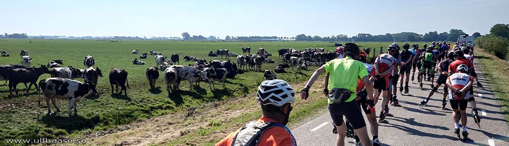 Elfstedentocht 2023