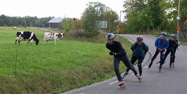 Inline skating on Gräsö.