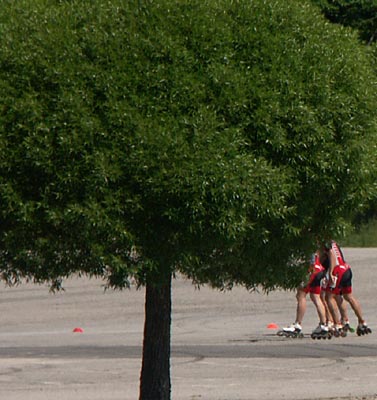 Nordic Inline Skating Cup 2007, Stockholm