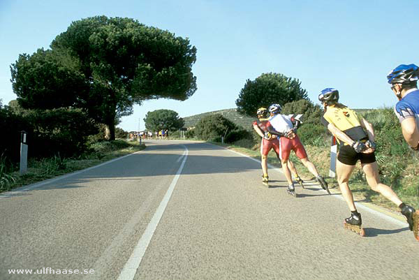 Experts in Speed Sardinien Sardinia 2003 inlines