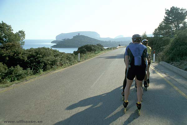 Experts in Speed Sardinien Sardinia 2003 inlines