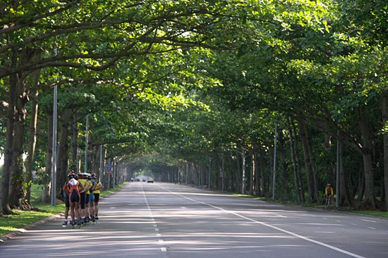 Inline skating in Singapore