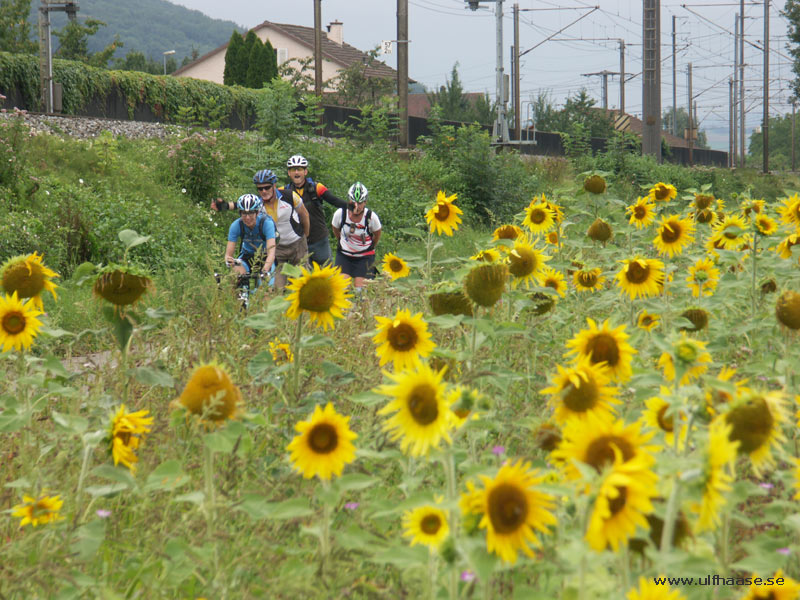 Skate & Rail Ultra 2012