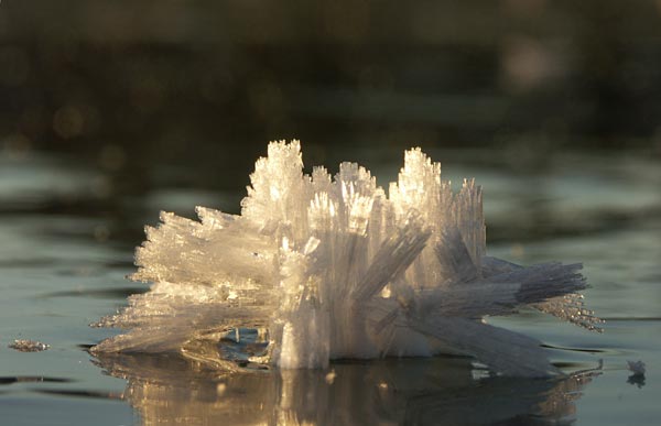 Ice skating in in Västmanland.