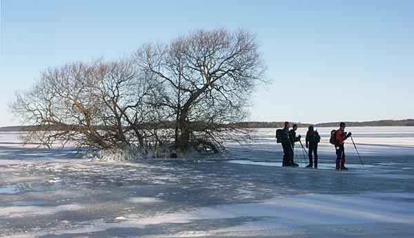 Lake Mälaren, ice skating.