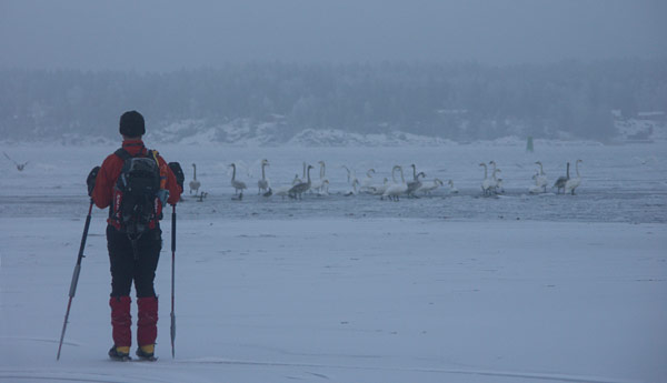 Ice skating in the Stockholm archipelago