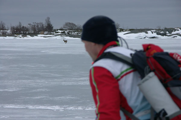 Ice skating, Stockholm archipelago.