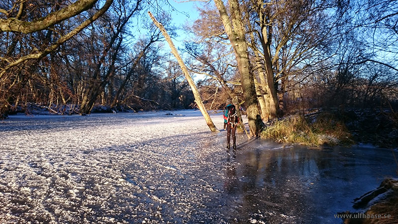 Ice skating on lake Mälaren 2014.