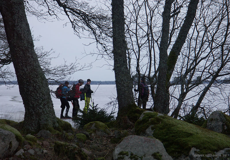 Ice skating on Lake Mälaren 2015.