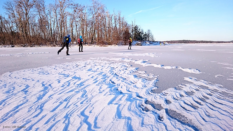 Ice skating on Lake Mälaren 2016.