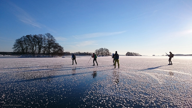 Ice skating on Lake Mälaren 2016.