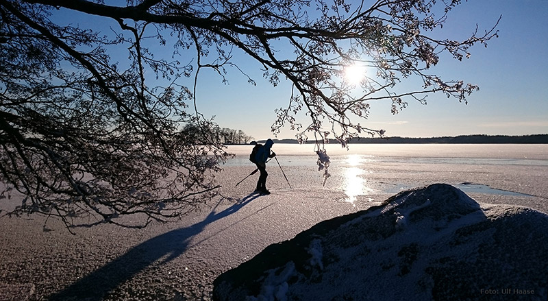 Ice skating on Lake Mälaren 2016.