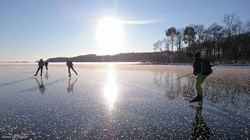 Ice skating on Lake Mälaren 2016.