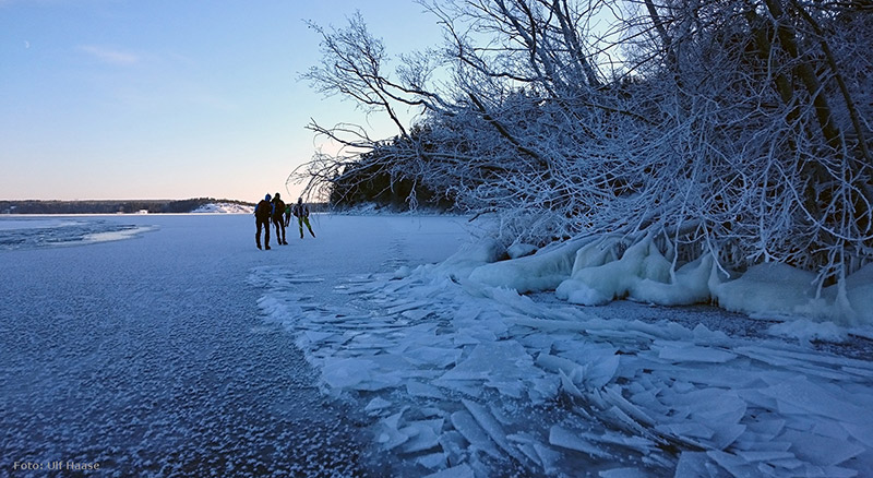 Ice skating on Lake Mälaren 2016.