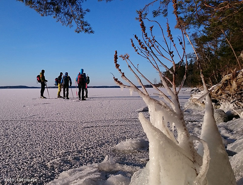 Ice skating on Lake Mälaren 2016.