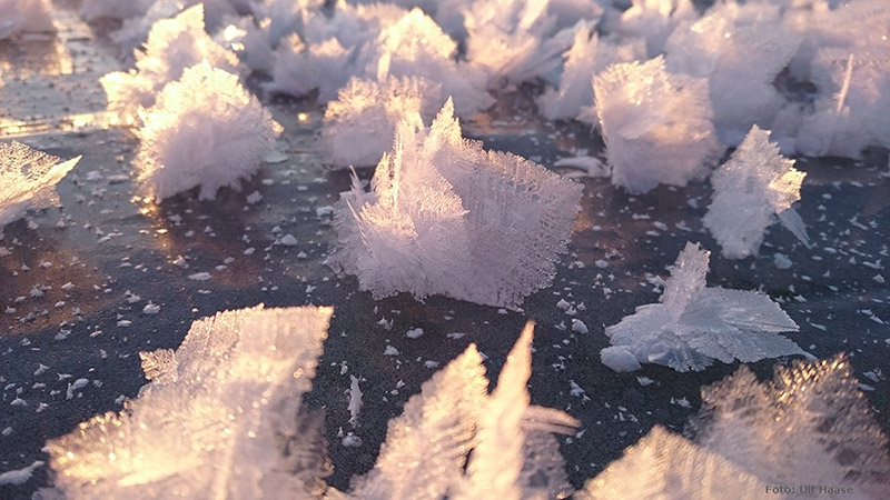 Ice skating on Lake Mälaren 2016.