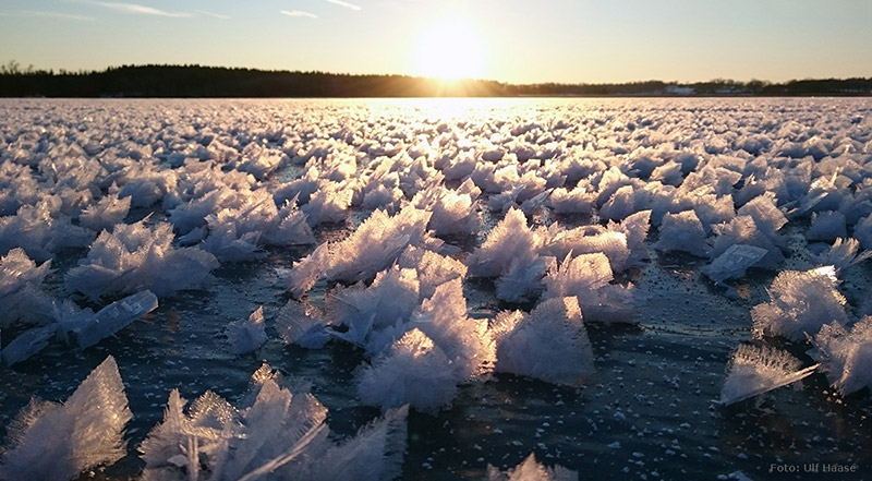 Ice skating on Lake Mälaren 2016.