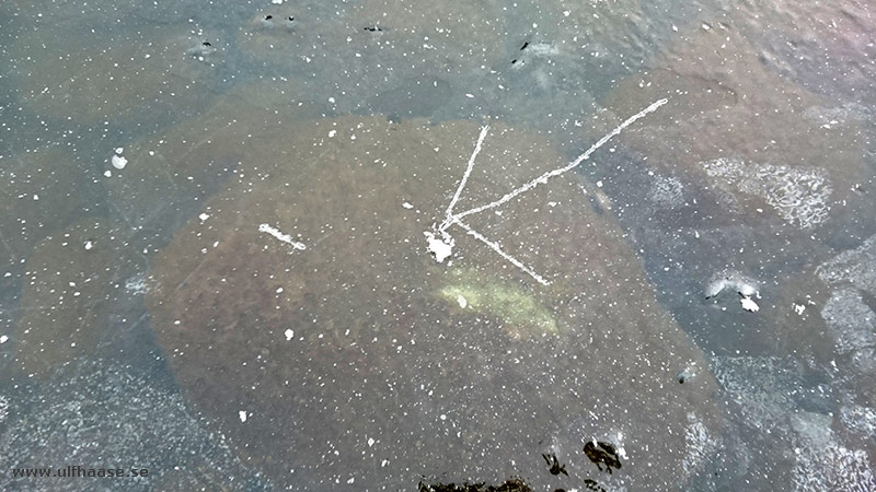 Ice skating on Lake Mälaren 2016.