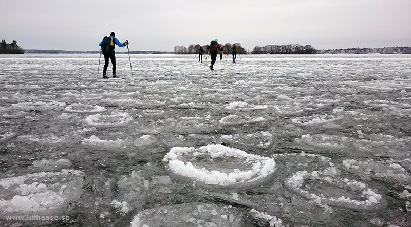 Ice skating on Lake Mälaren 2016.