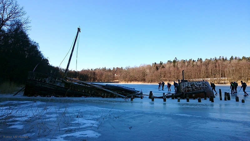 Ice skating with SSSK February 2016.