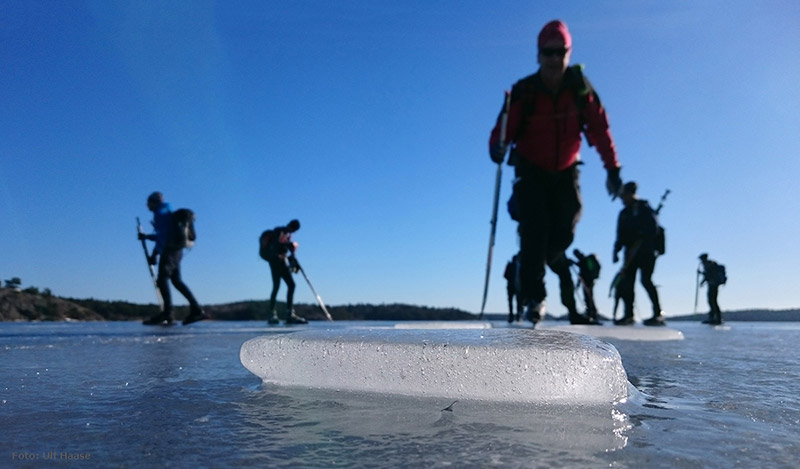 Ice skating with SSSK February 2016.