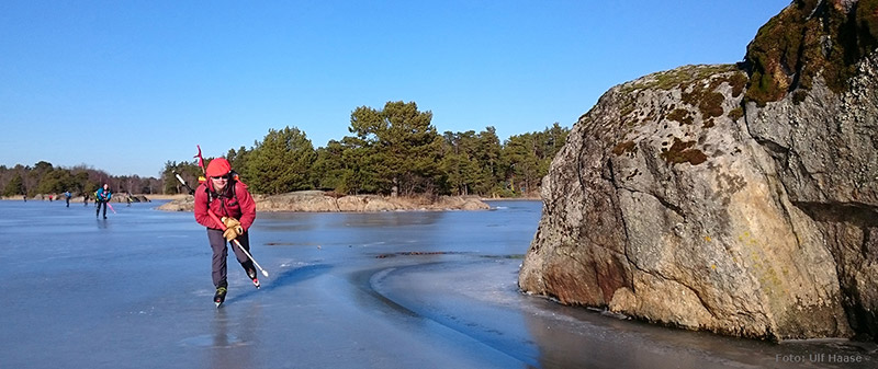 Ice skating with SSSK February 2016.