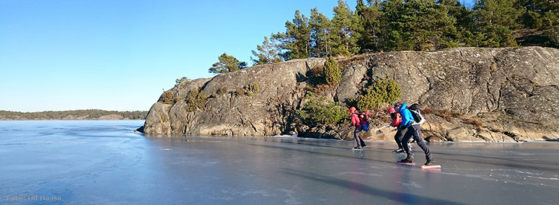 Ice skating with SSSK February 2016.