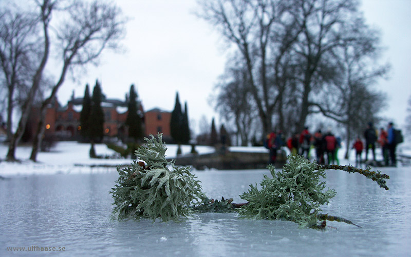 Stora Båvenrundan, ice skating.