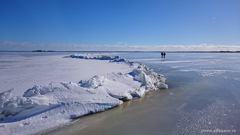 Ice skating on Lake Hjämaren.