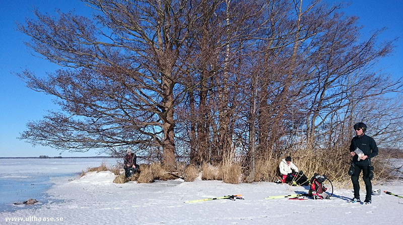 Ice skating on Lake Hjämaren.