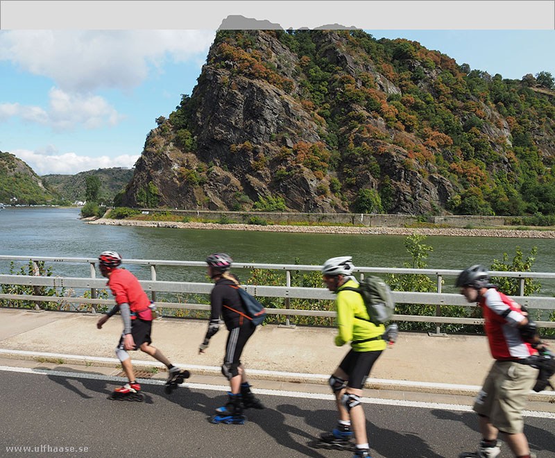 Rhine on Skates 2018