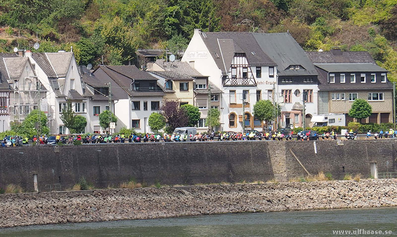 Rhine on Skates 2018