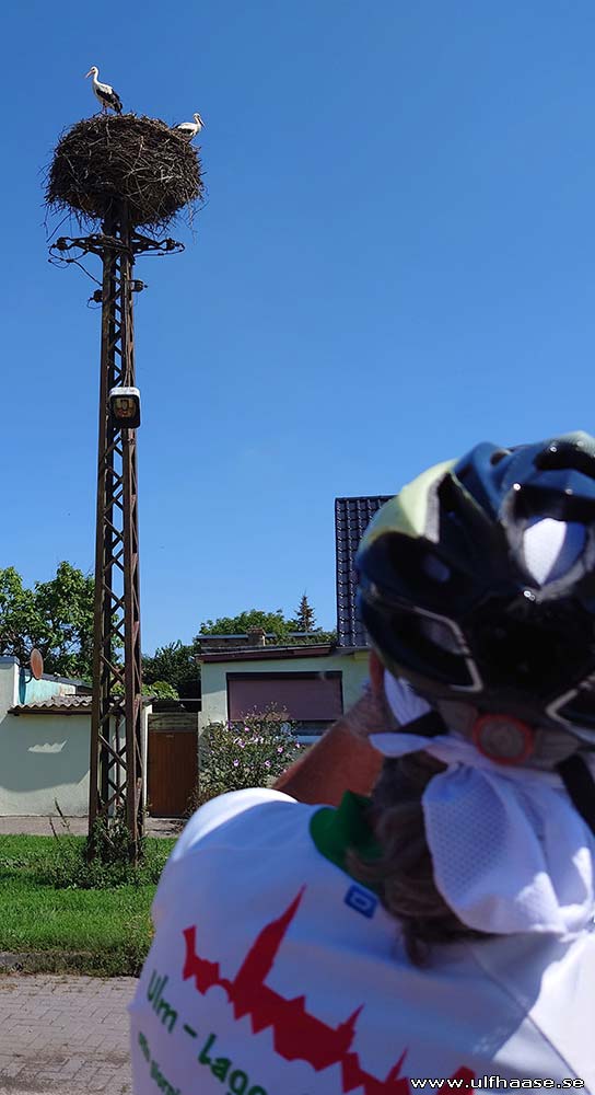 Ultra Skate Challenge (USC) 2024