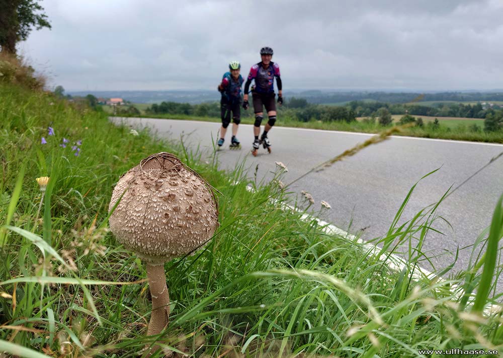 Ultra Skate Challenge (USC) 2025