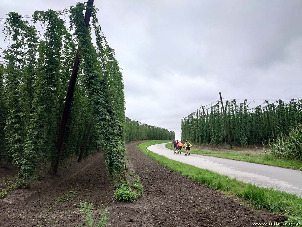 Ultra Skate Challenge (USC) 2025