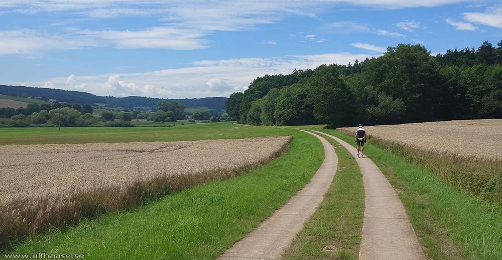 Ultra Skate Challenge (USC) 2025
