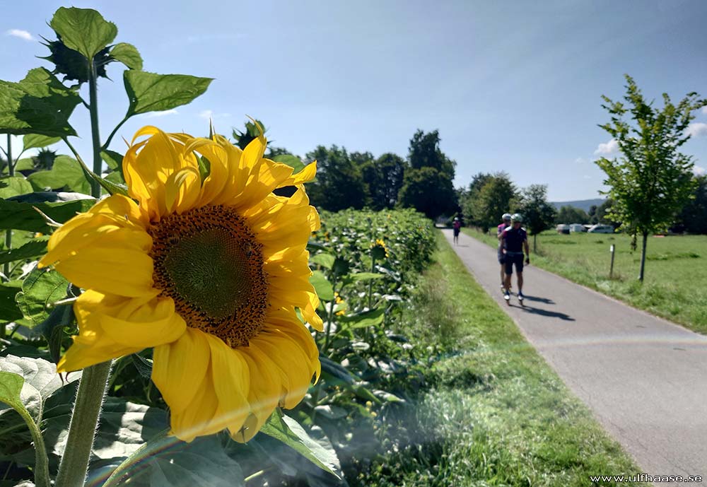 Ultra Skate Challenge (USC) 2025