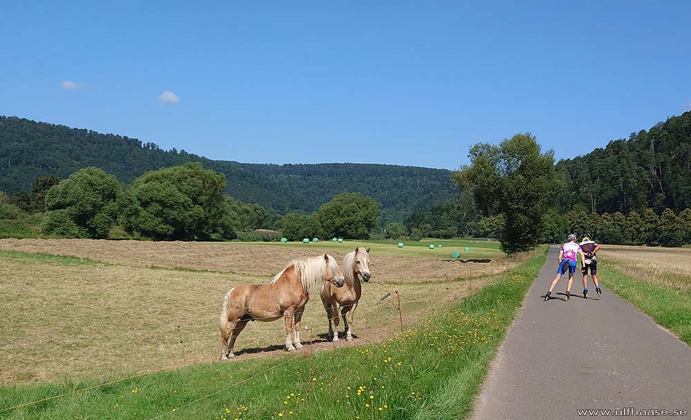 Ultra Skate Challenge (USC) 2025