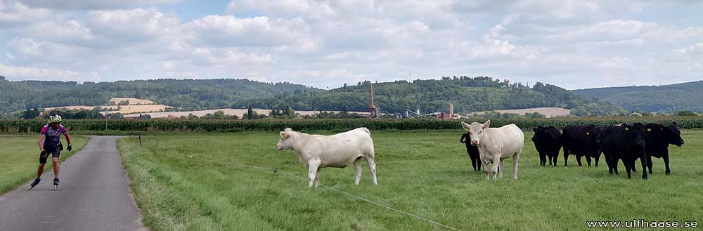 Ultra Skate Challenge (USC) 2025