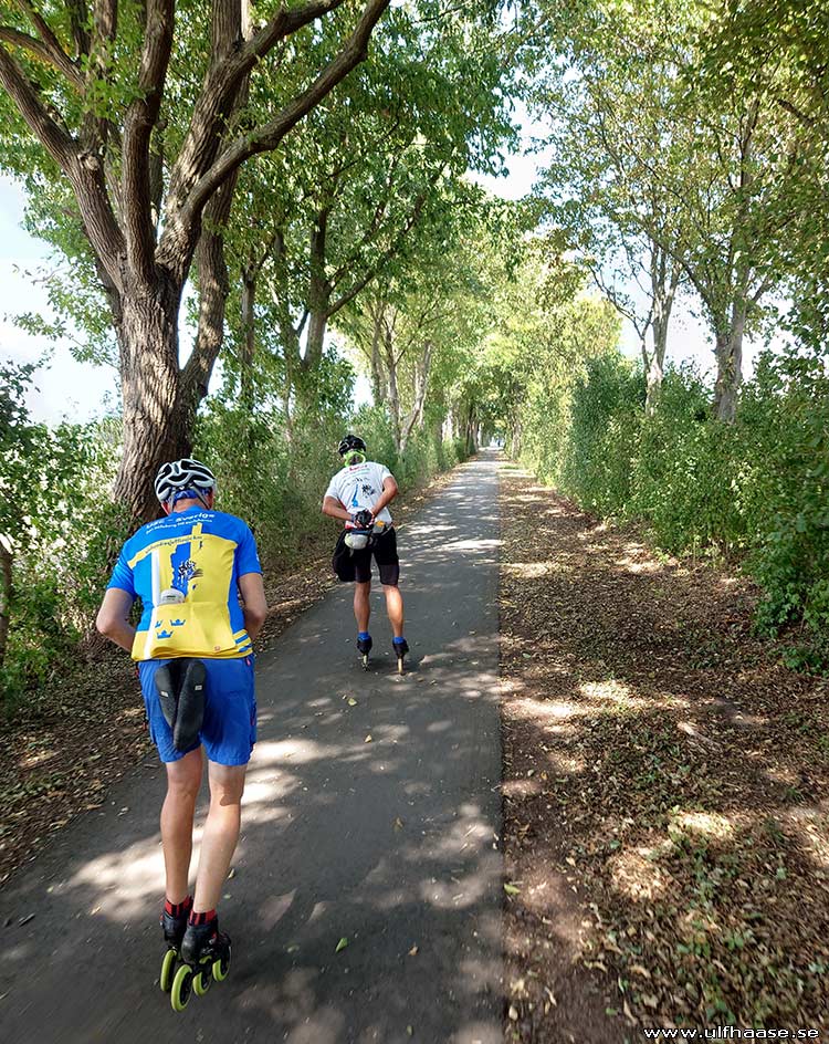 Ultra Skate Challenge (USC) 2025